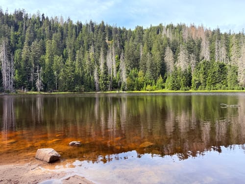Von Ruhestein zum Wildsee