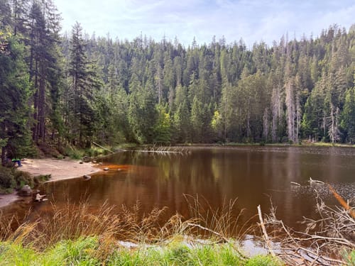 Von Ruhestein zum Wildsee