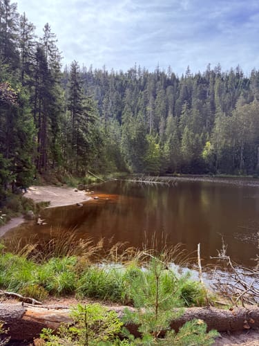Von Ruhestein zum Wildsee