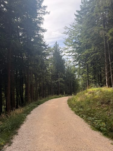 Reichenhaller Panoramatour (SalzAlpenTour)