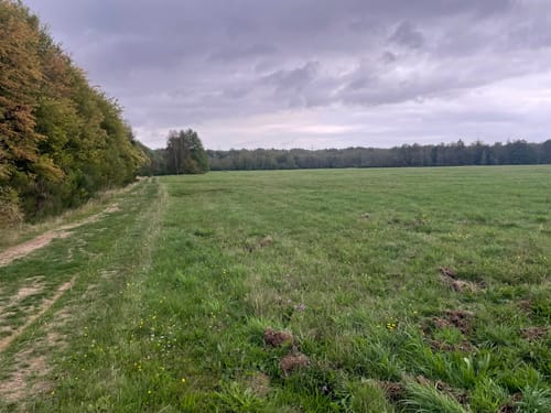 Großer Heideweg