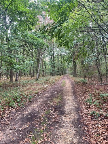 Großer Heideweg