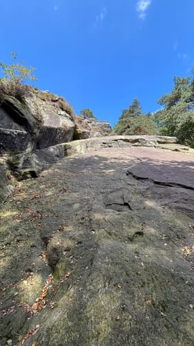 Runde um die Dörenther Klippen