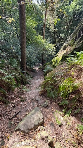 Runde um die Dörenther Klippen