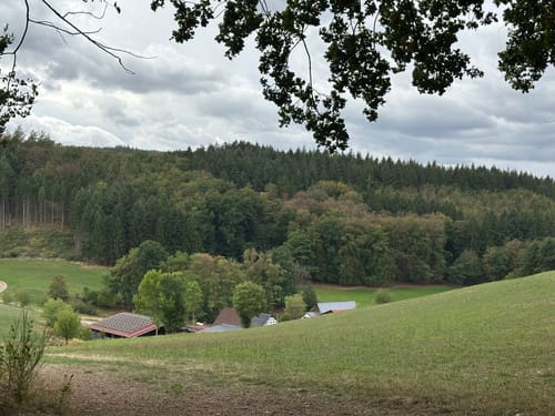 Rundwanderweg Fürth 11: Wagenberg-Wanderung