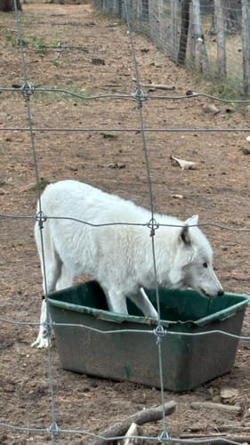 Wildpark Johannismühle