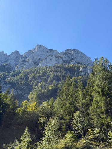 Urwies to Steiner Alm