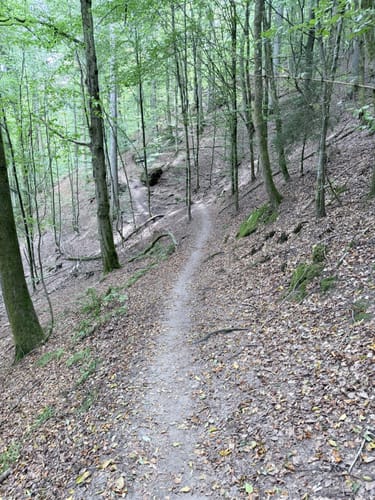 Kirkeler Tafeltour (Premiumwanderweg)