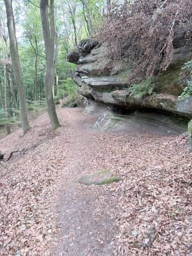 Kirkeler Tafeltour (Premiumwanderweg)