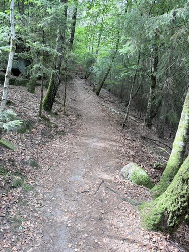 Kirkeler Tafeltour (Premiumwanderweg)