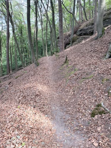 Kirkeler Tafeltour (Premiumwanderweg)