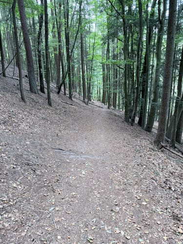 Kirkeler Tafeltour (Premiumwanderweg)