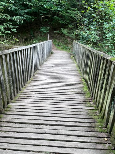 Allerheiligen-Wasserfall zum Schliffkopf Rundweg