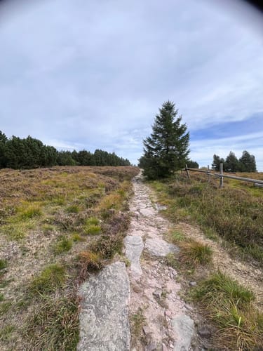 Allerheiligen-Wasserfall zum Schliffkopf Rundweg