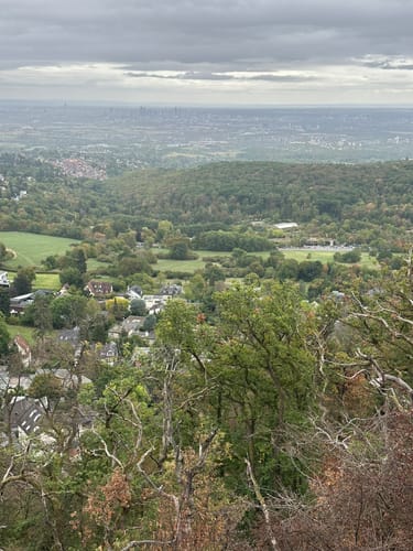 Bürgelplatte und Burgruine Falkenstein ab Kronberg