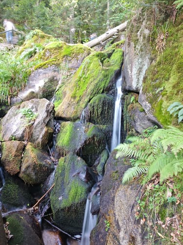 Gertelbach Wasserfälle Rundweg