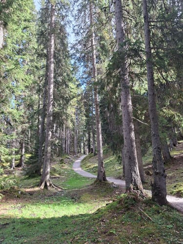 Vom  Tiroler Haus zur Coburger Hütte und dem Drachensee