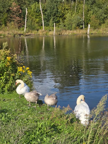 Durch die Kirchhellener Heide zum Heidesee