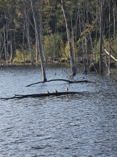 Durch die Kirchhellener Heide zum Heidesee