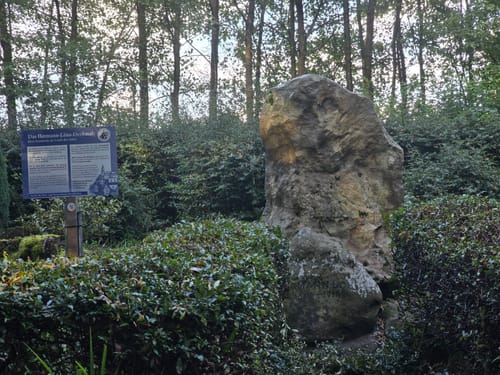 Durch die Kirchhellener Heide zum Heidesee