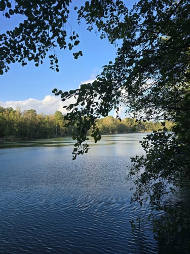 Durch die Kirchhellener Heide zum Heidesee