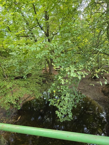 Durch die Kirchhellener Heide zum Heidesee