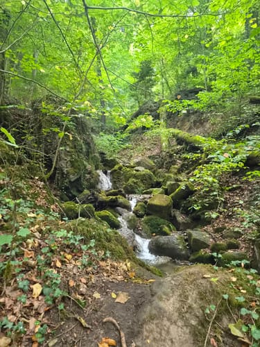 Teufelsschlucht und Keltenhöhle Rundweg