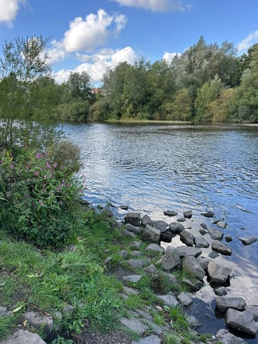 Durchs Wichteltal in Essen-Burgaltendorf