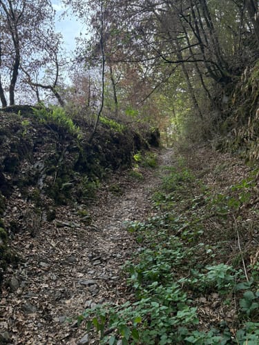 Von Wierschem zur Burg Eitz