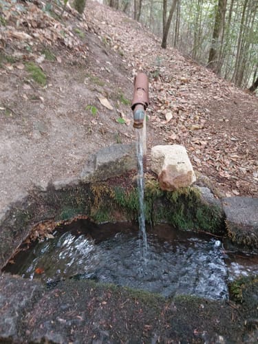Gernsbacher Sagenweg (Genießerpfad)