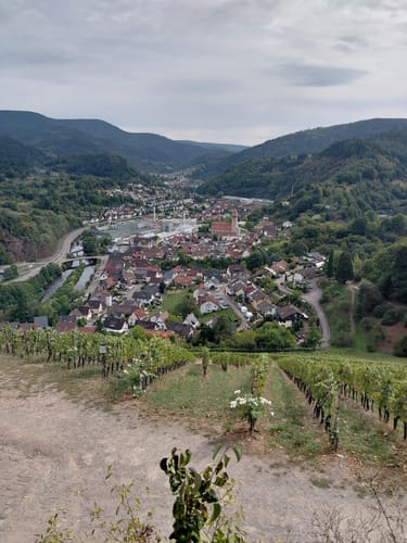 Gernsbacher Sagenweg (Genießerpfad)