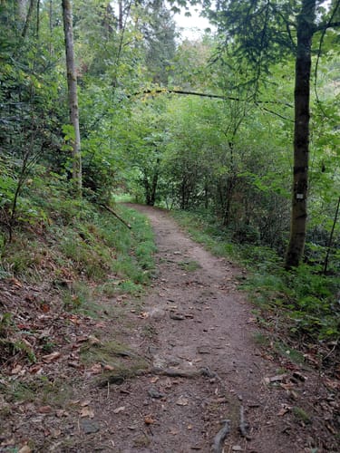 Gernsbacher Sagenweg (Genießerpfad)