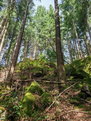 Gertelbach Wasserfälle Rundweg