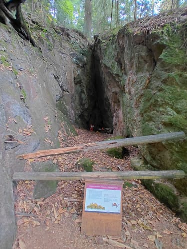 Gernsbacher Sagenweg (Genießerpfad)
