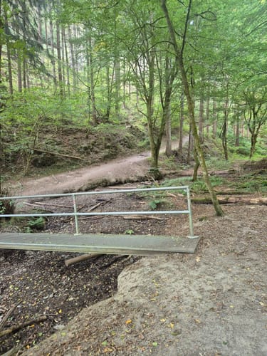 Rundwanderung Geyerlay - Längste Hängeseilbrücke Deutschlands