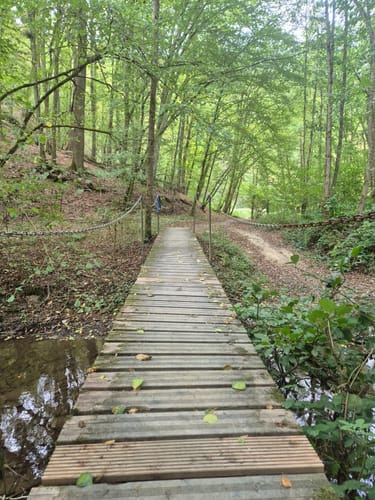 Rundwanderung Geyerlay - Längste Hängeseilbrücke Deutschlands
