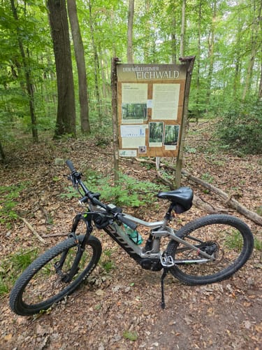 Eichwald ab Vögisheim