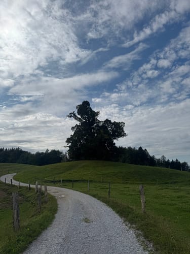Steinkirchen um dem Dandlberg