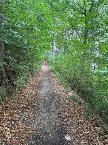 Steinkirchen um dem Dandlberg