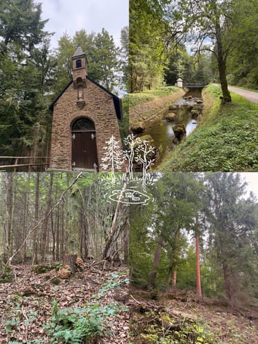 Waldkapelle und Oleftalsperre