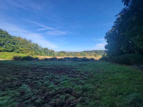 Breitenwald ab Hauptstuhl
