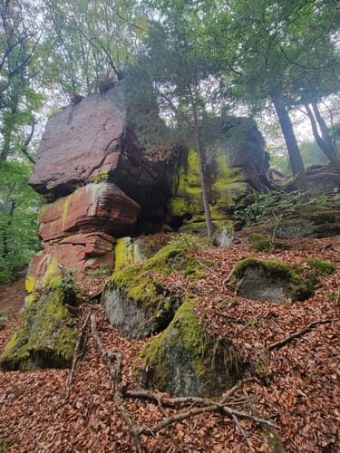Breitenwald ab Hauptstuhl