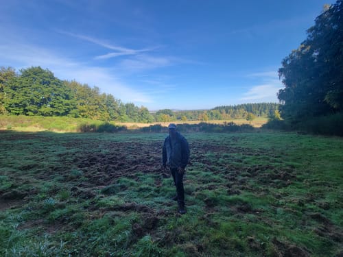 Breitenwald ab Hauptstuhl