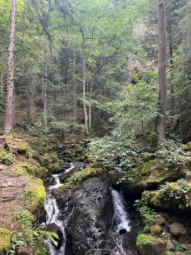 Der Ravennaschlucht Weg