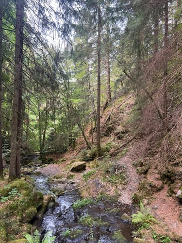 Der Ravennaschlucht Weg