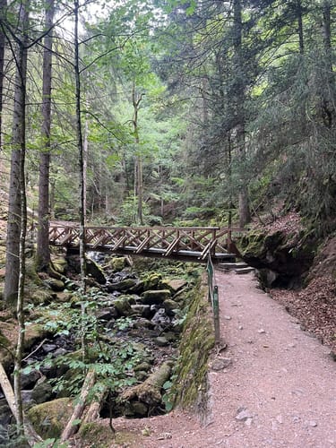 Der Ravennaschlucht Weg