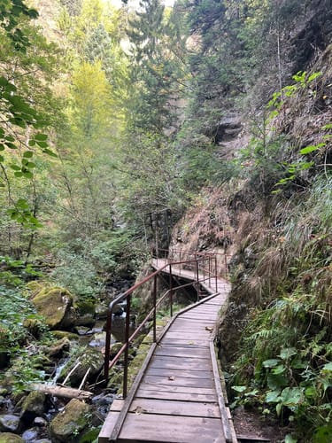 Der Ravennaschlucht Weg