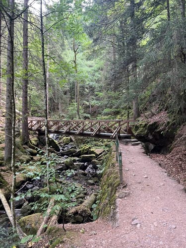 Der Ravennaschlucht Weg