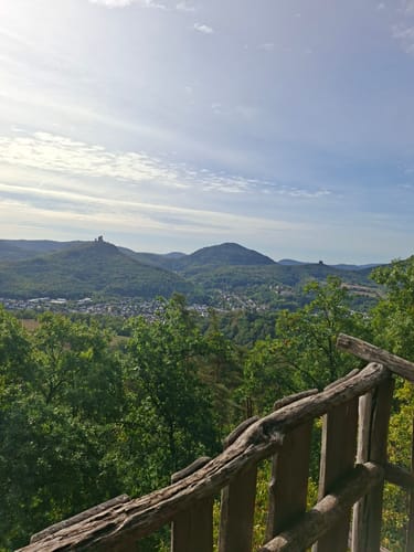 Anweiler - Jungpfalzhütte