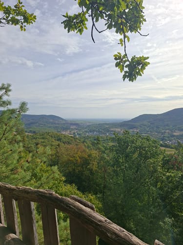 Anweiler - Jungpfalzhütte